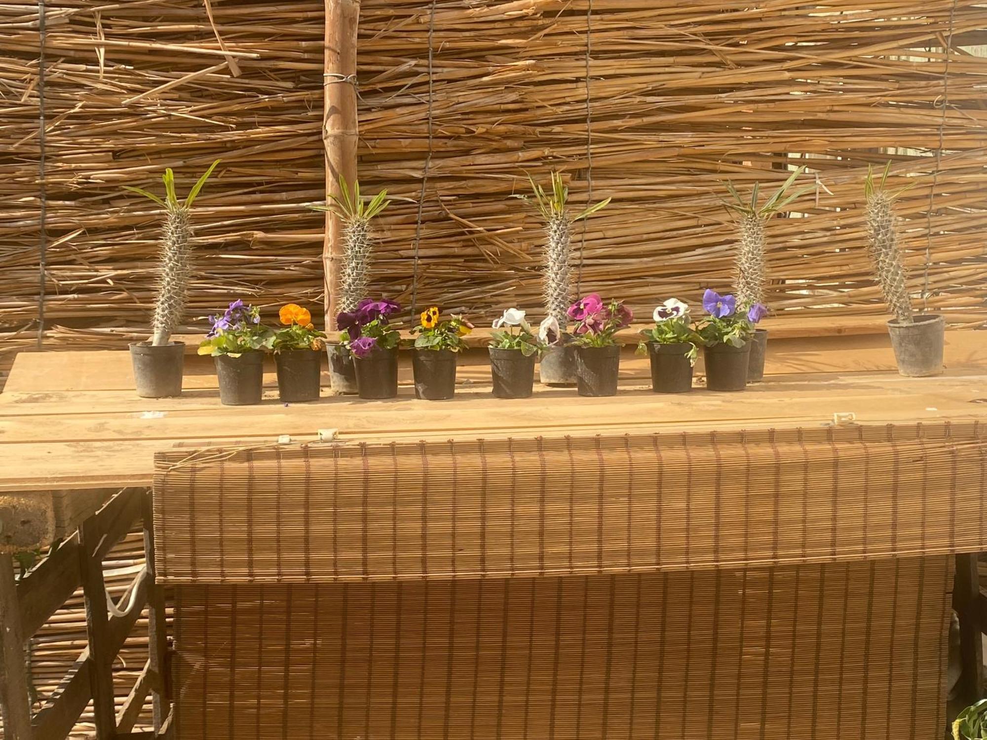Airport Rooftop Club Luxurious Rooms And Studios ไคโร ภายนอก รูปภาพ